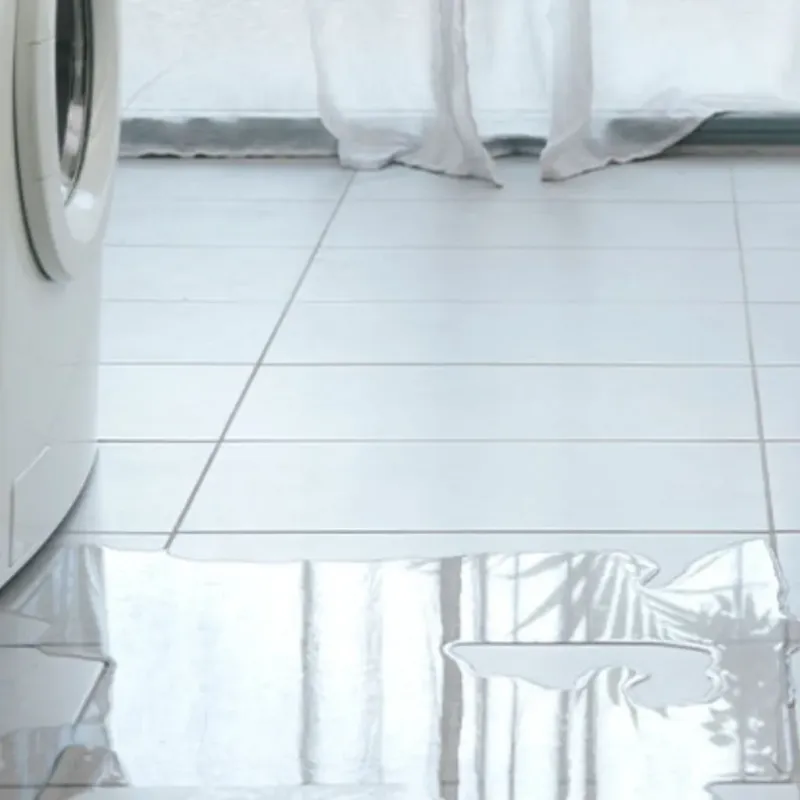 Appliance Leak Cleanup in Hyde, PA
