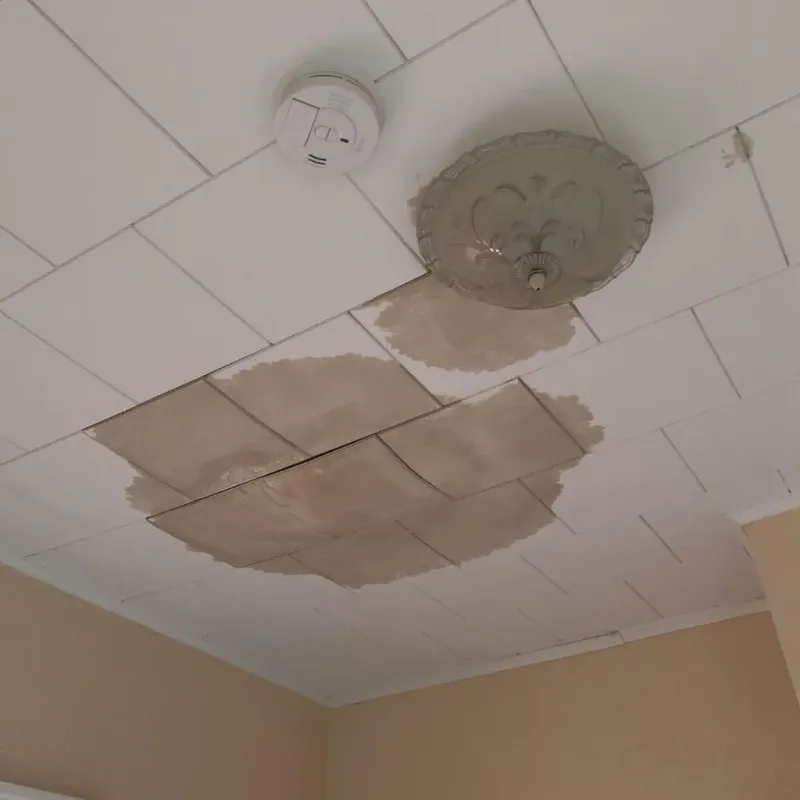 Ceiling Water Damage Repair in Hyde, PA