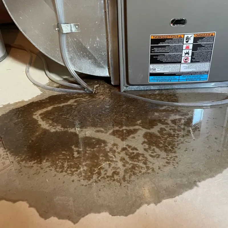 Pipe Burst and Leak Restoration in Hyde, PA