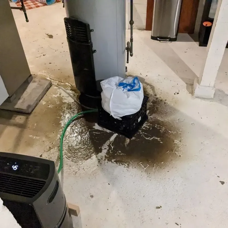 Sewage Backup Cleanup Service in Hyde, PA